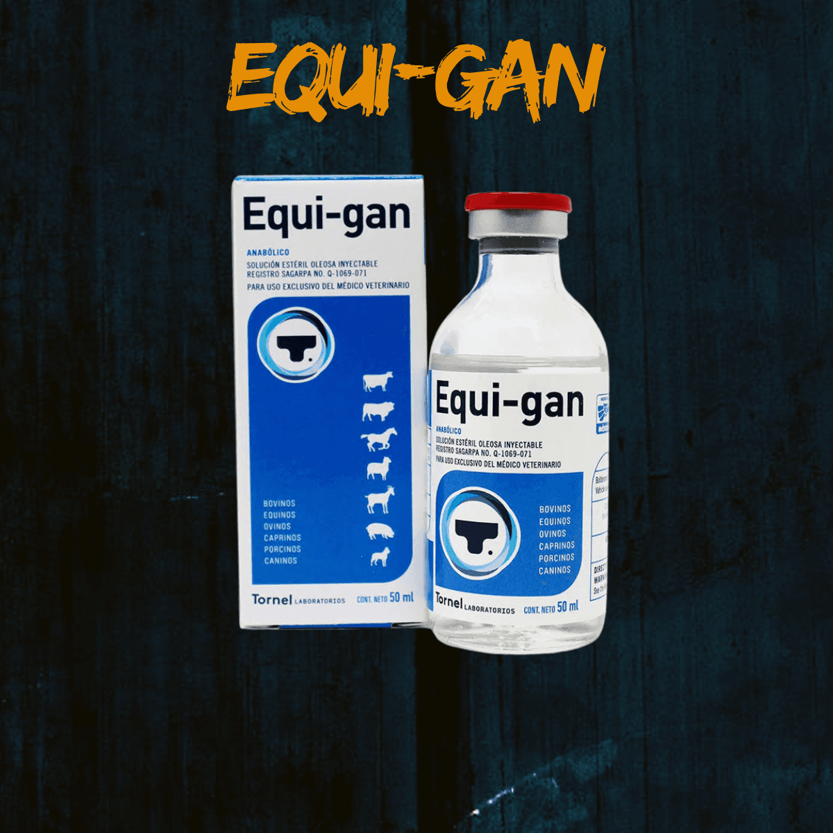 Equi Gan Tornel