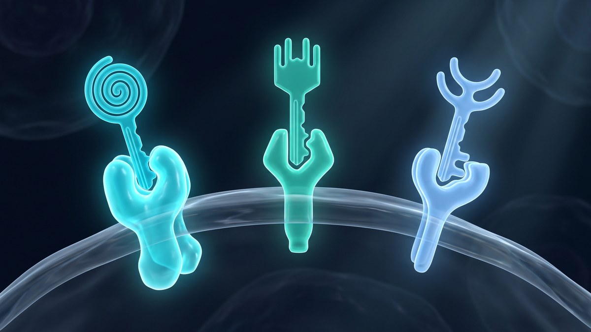 Ilustración de la retatrutide activando tres receptores: GIP, GLP-1 y glucagón
